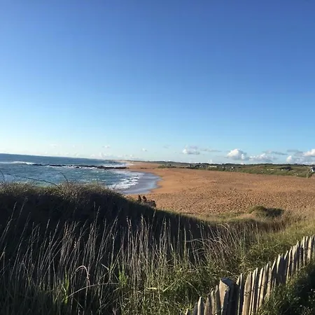 T2 Aux Sables D'olonne Avec Terrasse, Pres De La - Fr-1-325-132 아파트